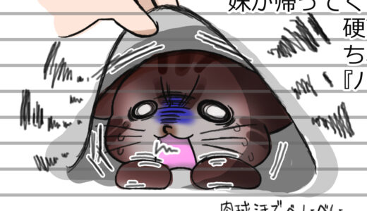 とどすけメモ①