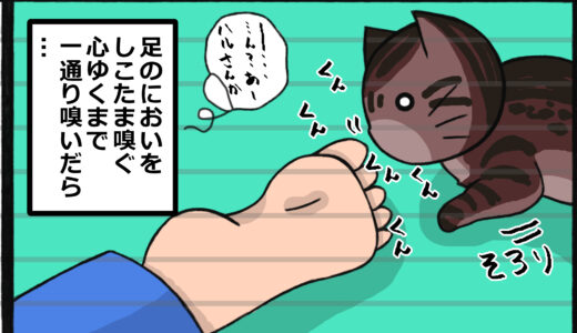癖になってる