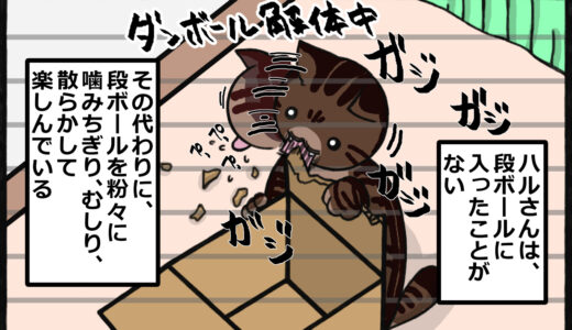 ちぎり職人