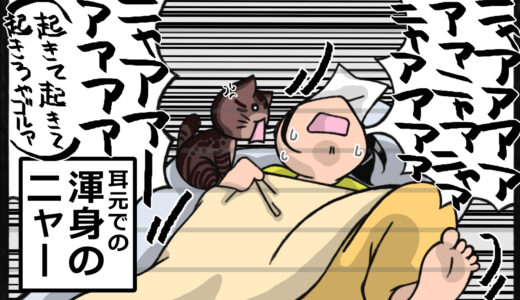 よく考えたら確かに凄い…？