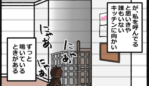ちょっと怖い猫あるある