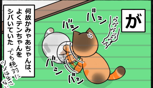 なお、ちゃんと手加減はしている模様