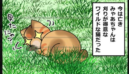 ギャップ