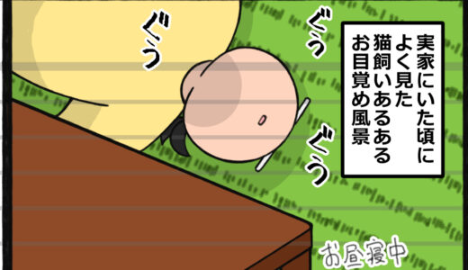 くっつけるのは勘弁