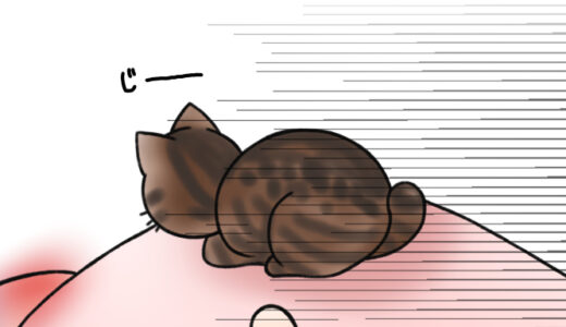 申し訳ありません…